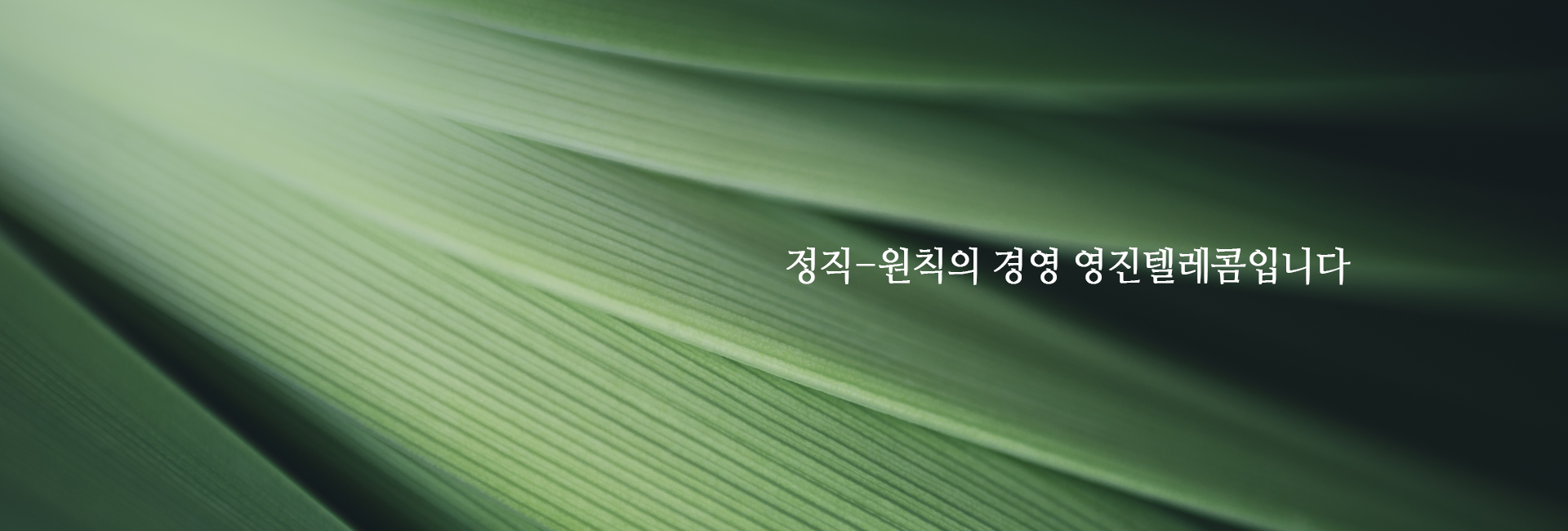 그린